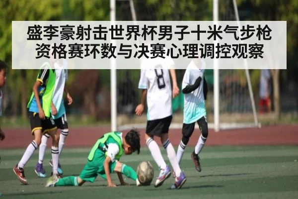 盛李豪射击世界杯男子十米气步枪资格赛环数与决赛心理调控观察